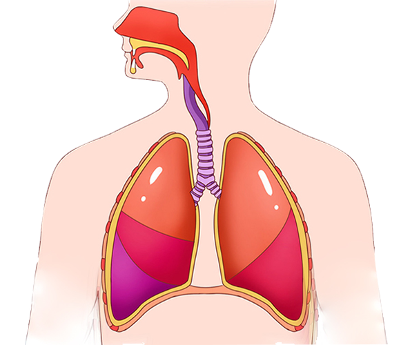 jackpot·(中国区)官方网站
