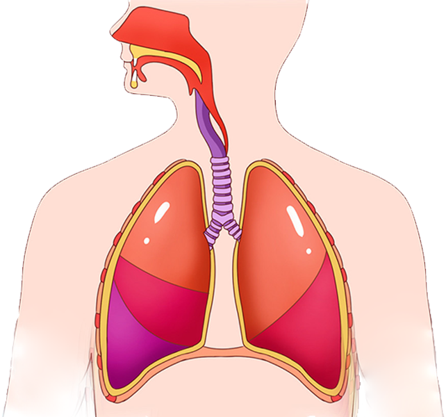 jackpot·(中国区)官方网站