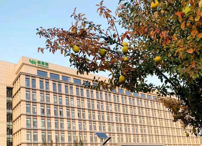 游艇会yth·(中国)最新官方网站