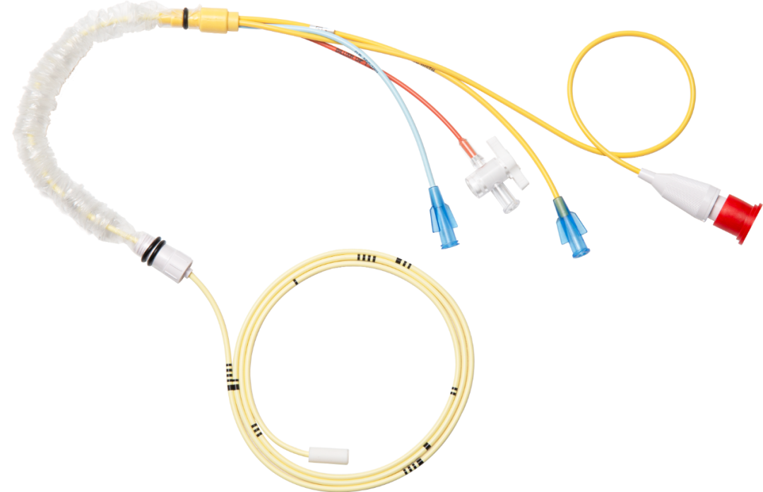 jackpot·(中国区)官方网站