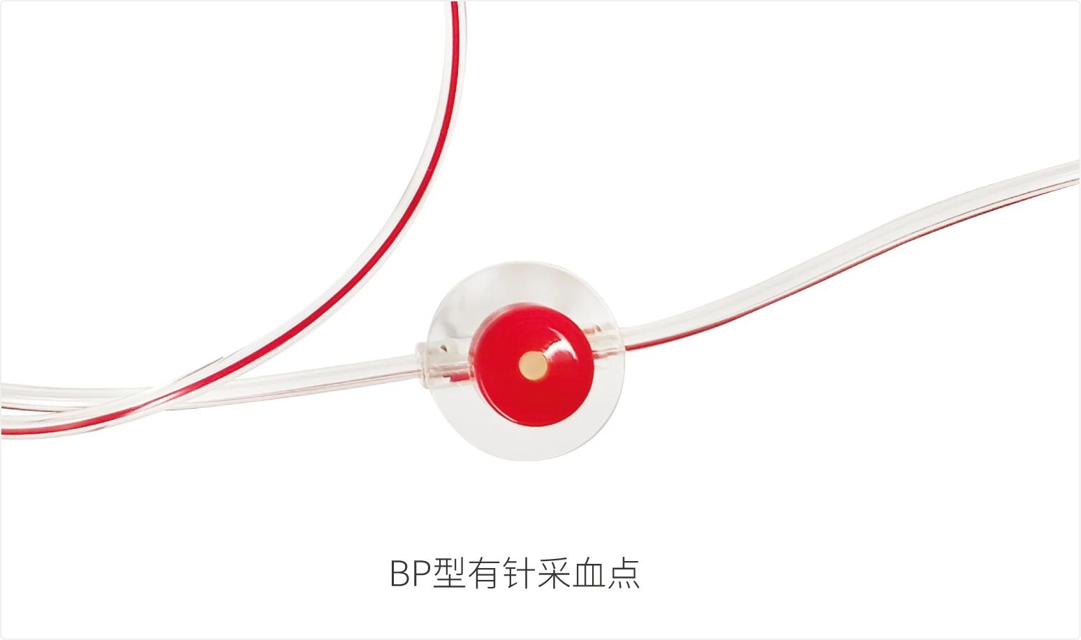 jackpot·(中国区)官方网站