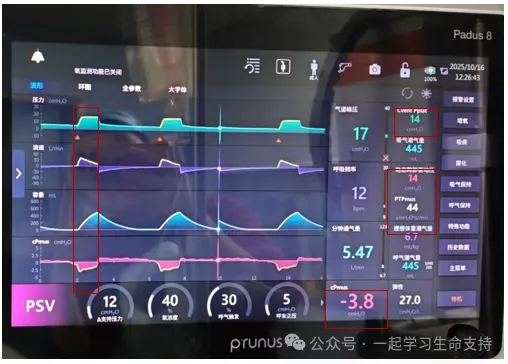 jackpot·(中国区)官方网站